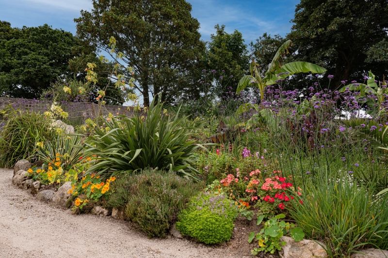 Secret Garden